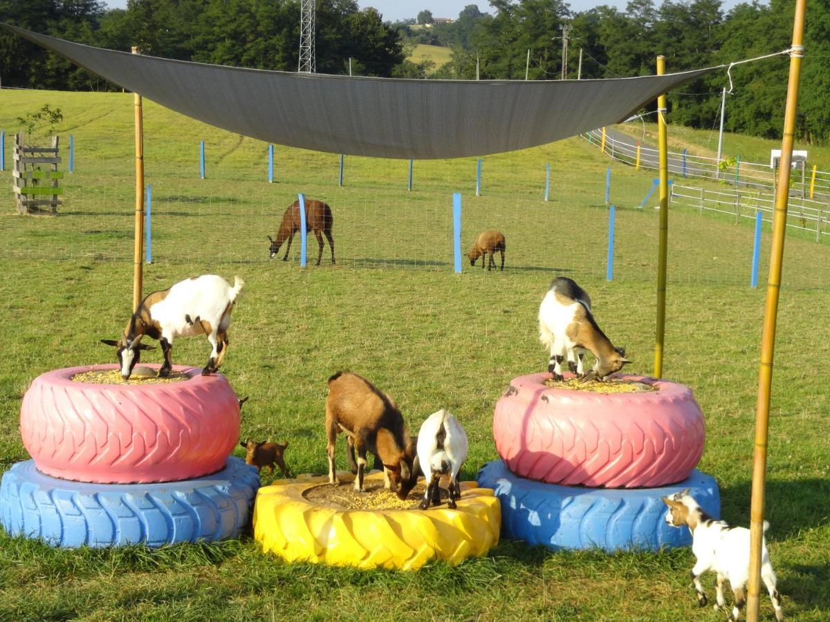 La Petite Ferme De Pouillon - Parc Animalier - Aire De Loisirs Bed and Breakfast Exteriör bild